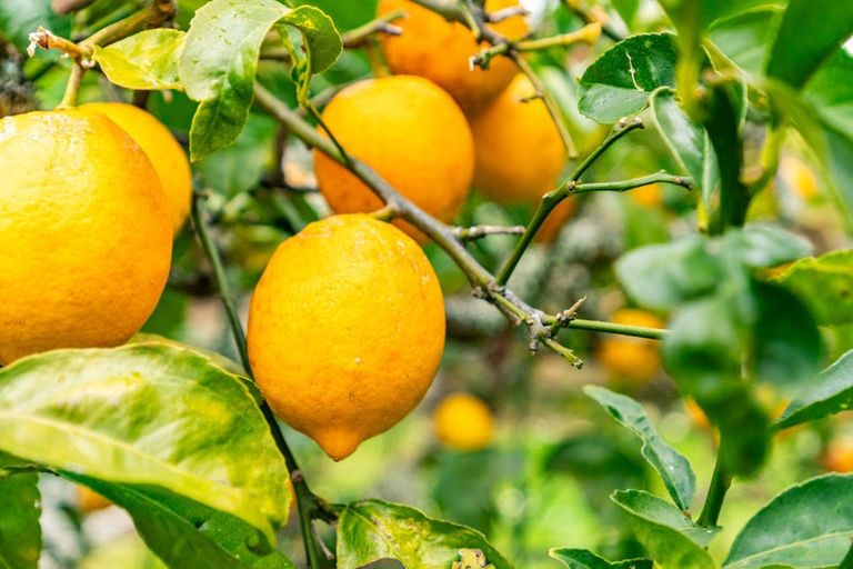 Photo of property in 10 Franklin Road, Paparoa, 0571