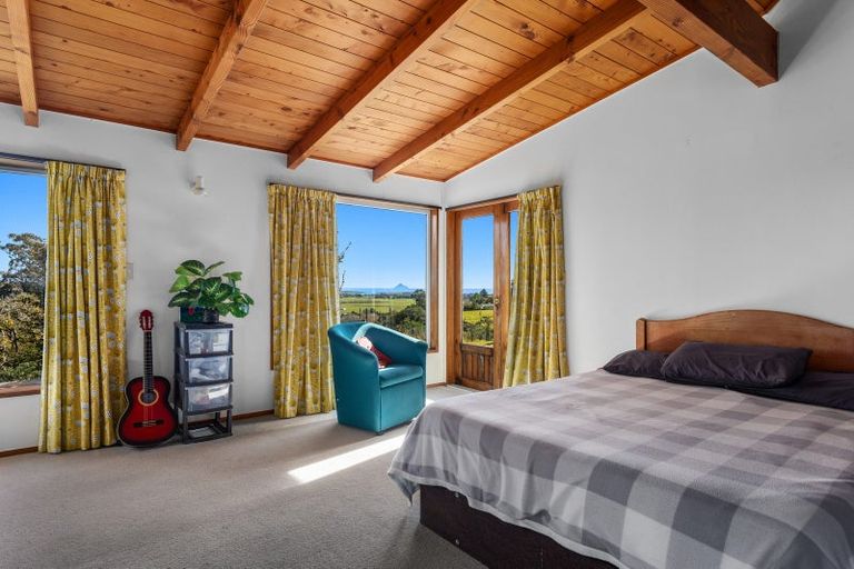 Photo of property in 306 Tablelands Road, Tirohanga, Opotiki, 3197