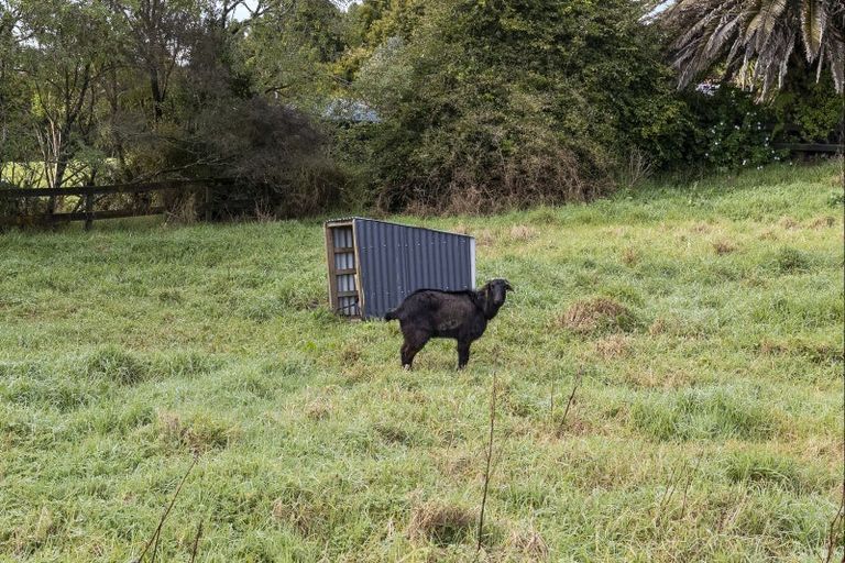 Photo of property in 238 Te Arai Point Road, Te Arai, Wellsford, 0975