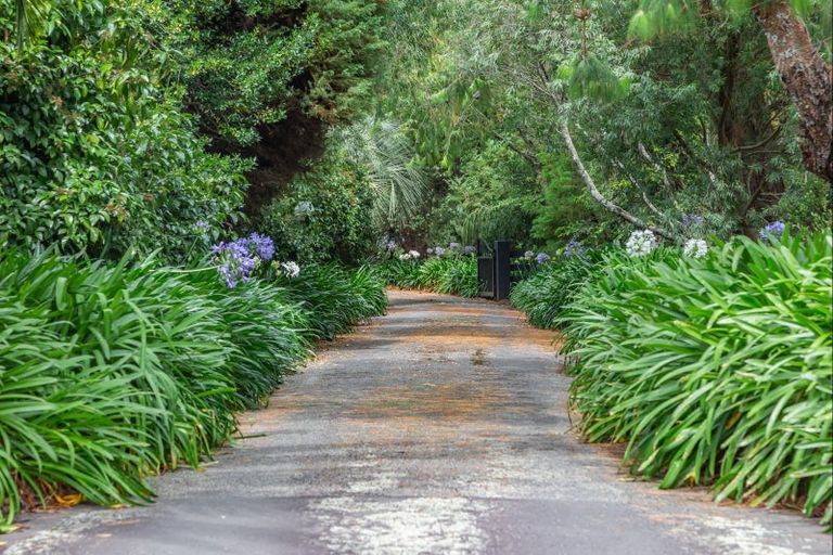 Photo of property in 43 Redwood Grove, Levin, 5571