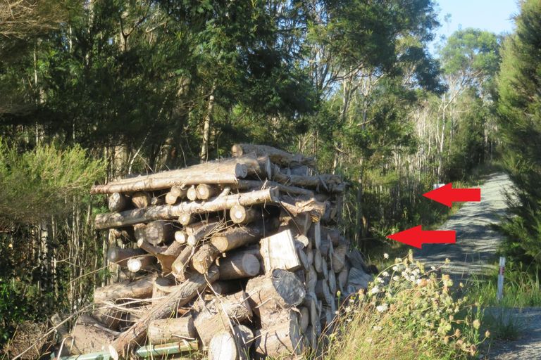 Photo of property in 15 Richmond Road, Mangonui, 0420