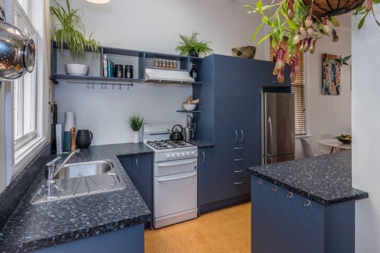 Photo of property in 46 Honiana Te Puni Street, Aro Valley, Wellington, 6021