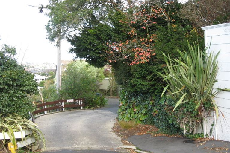 Photo of property in 36 Bruce Street, Roslyn, Dunedin, 9011