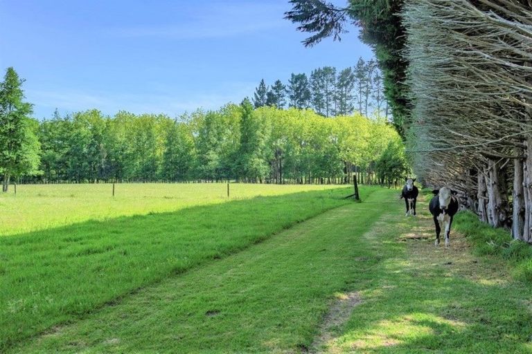 Photo of property in 1200 Pipiwai Road, Ruatangata West, Whangarei, 0176