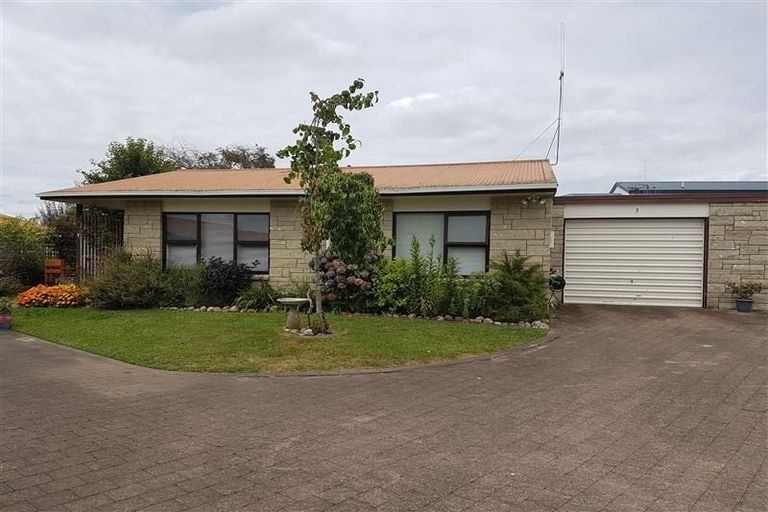 Photo of property in 3/12 Buchanan Street, Matamata, 3400