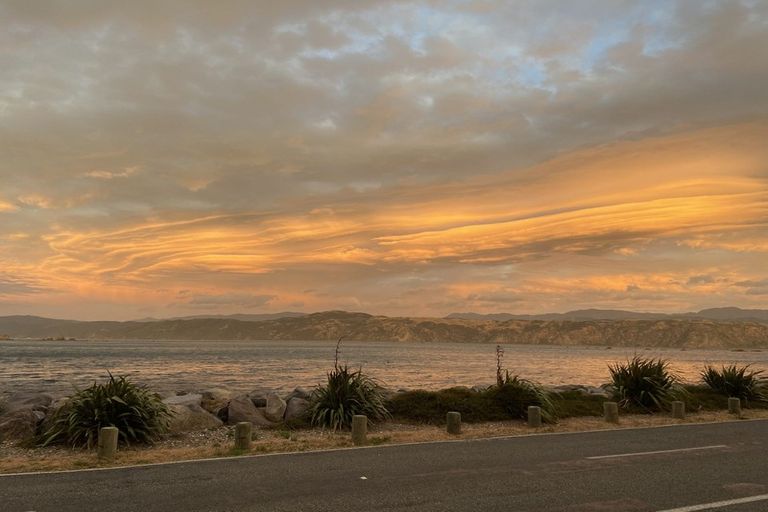 Photo of property in 168 Breaker Bay Road, Breaker Bay, Wellington, 6022