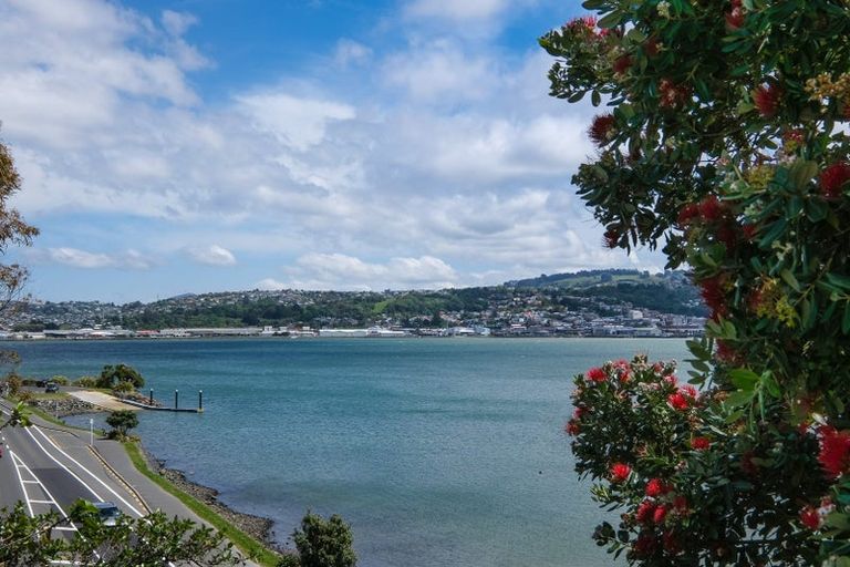 Photo of property in 2 Doon Street, Vauxhall, Dunedin, 9013