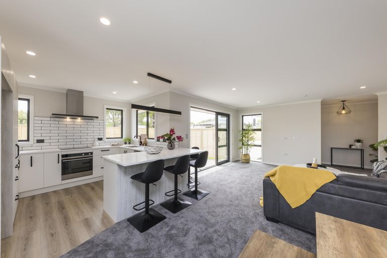 Photo of property in 107a Queen Street West, Levin, 5510