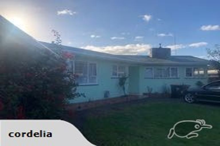 Photo of property in 181 College Street, Awapuni, Palmerston North, 4412
