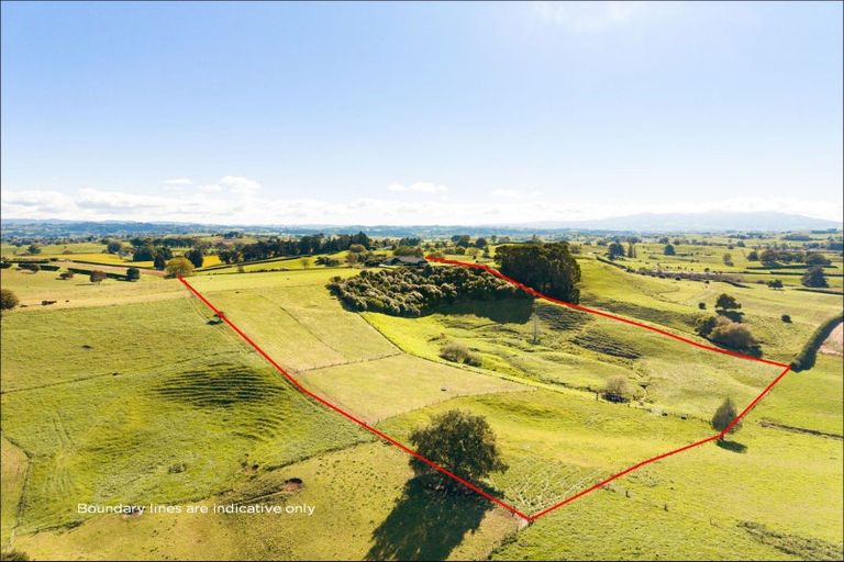 Photo of property in 91 Mangaorongo Road, Otorohanga, 3972