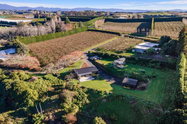 Photo of property in 178 Plummers Point Road, Whakamarama, Tauranga, 3172