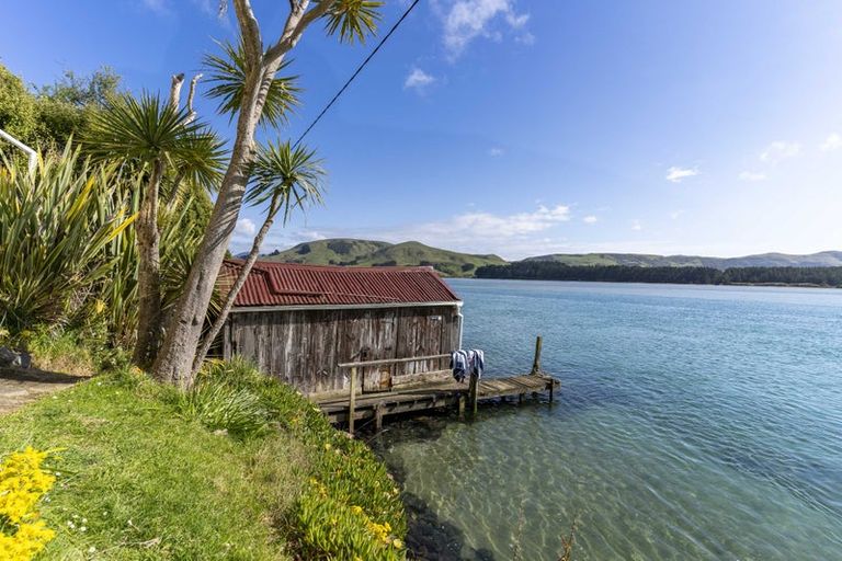 Photo of property in 265 Cape Saunders Road, Cape Saunders, Dunedin, 9077