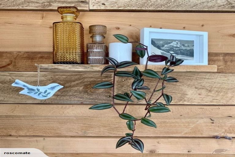 Photo of property in 22 Ruby Ridge, Wanaka, 9305