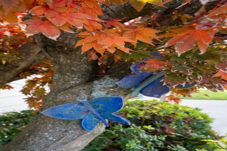 Photo of property in 5 Kingsley Street, Leamington, Cambridge, 3432