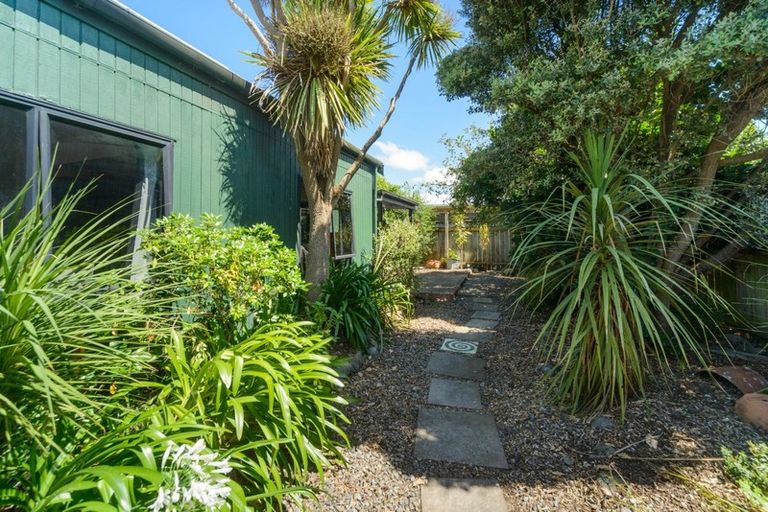 Photo of property in 436a Tremaine Avenue, Takaro, Palmerston North, 4410