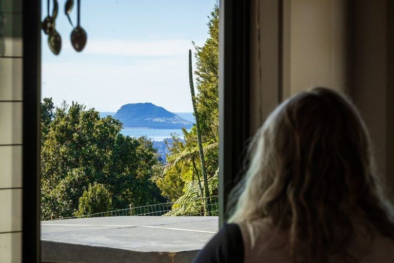 Photo of property in 1039e Work Road, Whakamarama, Katikati, 3181