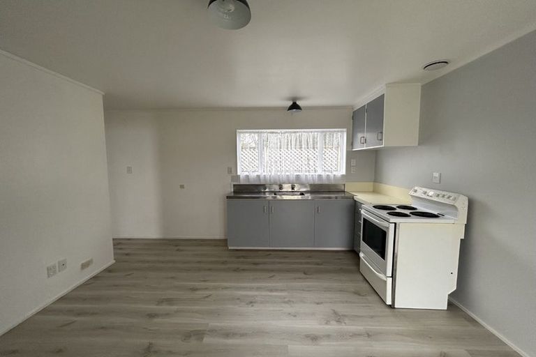 Photo of property in 38 Abbotsford Street, Whitiora, Hamilton, 3200