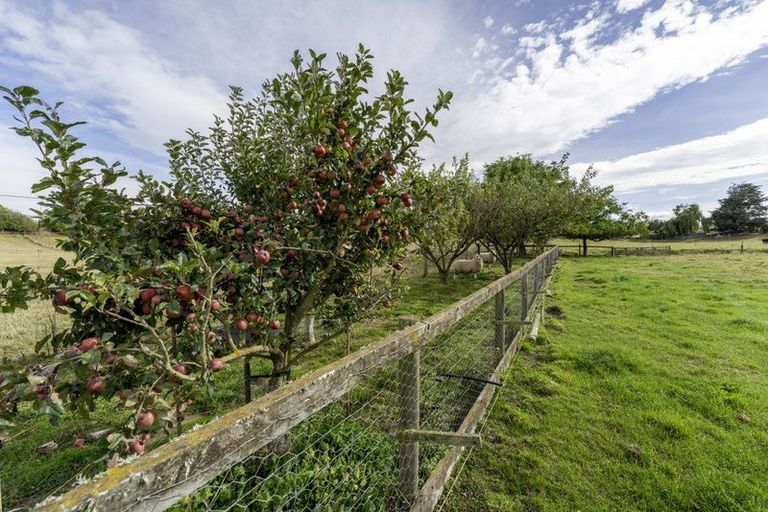 Photo of property in 120 Cox Street, Geraldine, 7930