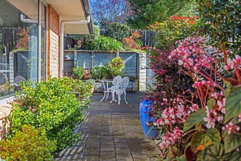 Photo of property in 11/17 Simmonds Grove, Greerton, Tauranga, 3112