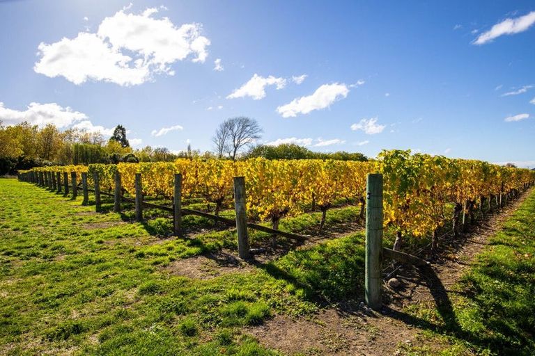 Photo of property in 5 Brook Street, Renwick, 7204