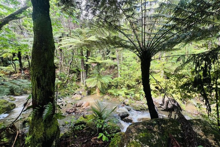 Photo of property in 275 Lillis Lane, Coromandel, 3506