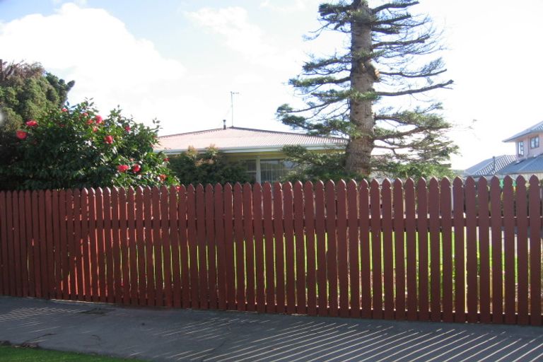 Photo of property in 347 Tremaine Avenue, Takaro, Palmerston North, 4412
