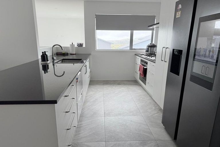 Photo of property in 17 Lemonwood Way, Woodridge, Wellington, 6037