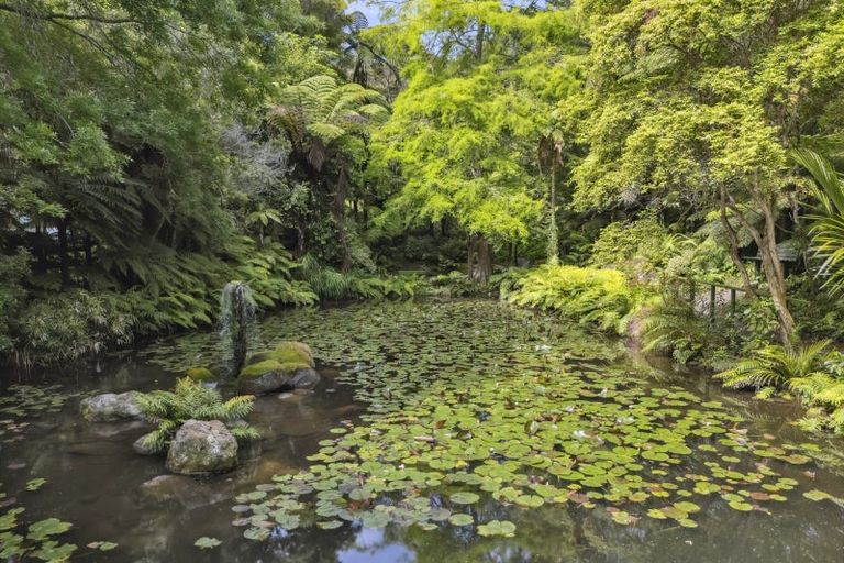Photo of property in 586 Tapu Coroglen Road, Coromandel Forest Park, Thames, 3575