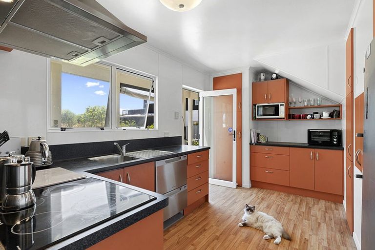 Photo of property in 258 Saint Aubyn Street, New Plymouth, 4310