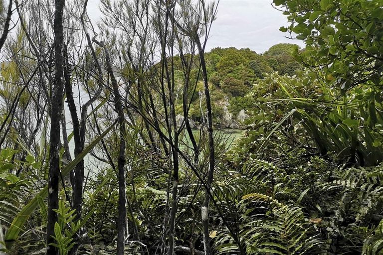 Photo of property in 7d Kamahi Road, Halfmoon Bay / Oban, Stewart Island, 9818
