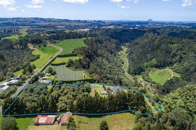 Photo of property in 429 Omanawa Road, Omanawa, Tauranga, 3171