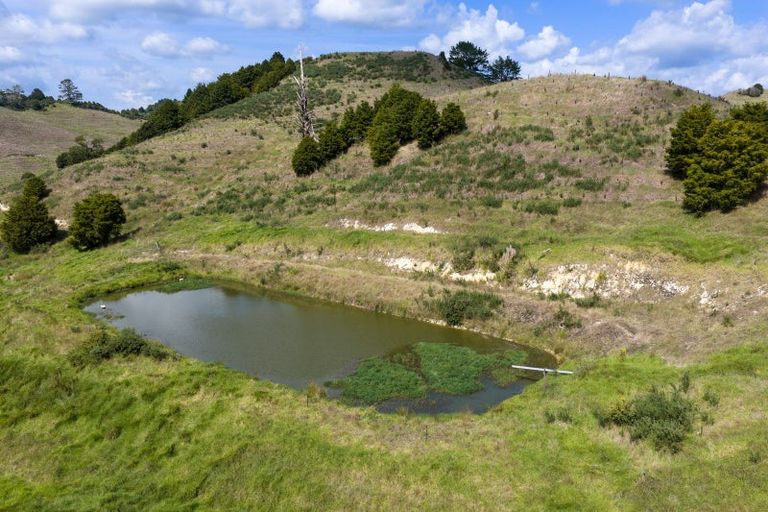 Photo of property in 95 Mason Road, Maromaku, Kawakawa, 0281