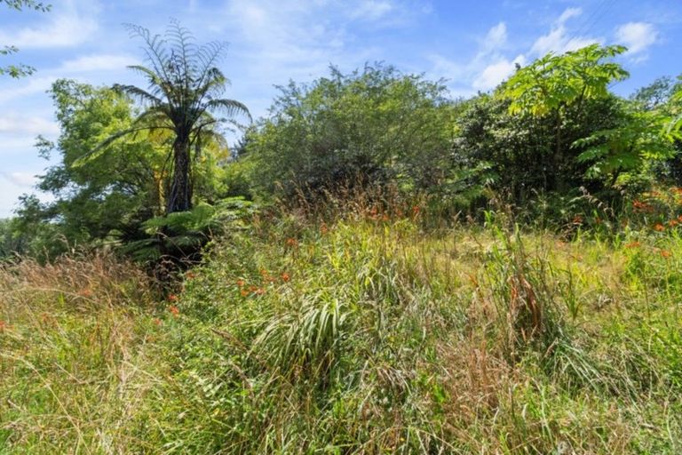 Photo of property in 11 Waitawheta Road, Waikino, Waihi, 3682