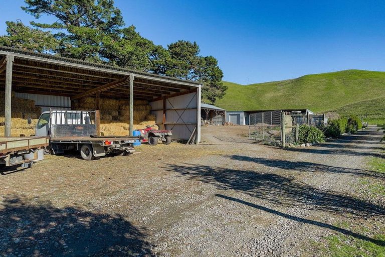 Photo of property in 453 Tetley Brook Road, Seddon, 7285