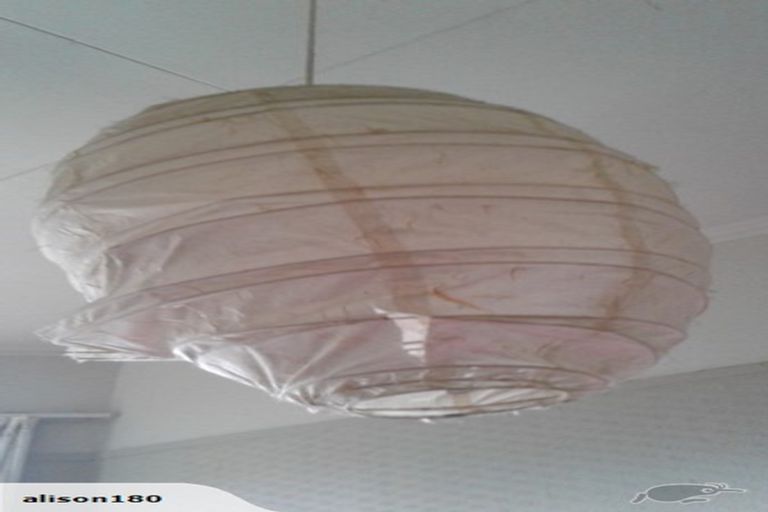 Photo of property in 13 Mortimer Terrace, Aro Valley, Wellington, 6021