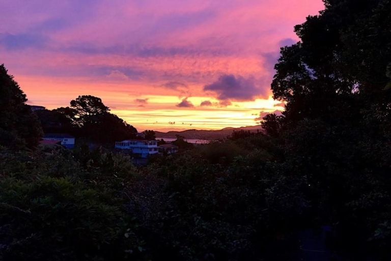 Photo of property in 51 Beacon Hill Road, Strathmore Park, Wellington, 6022