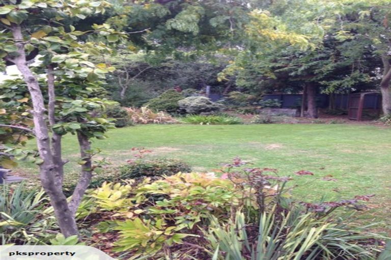 Photo of property in 53a Opawa Road, Waltham, Christchurch, 8023