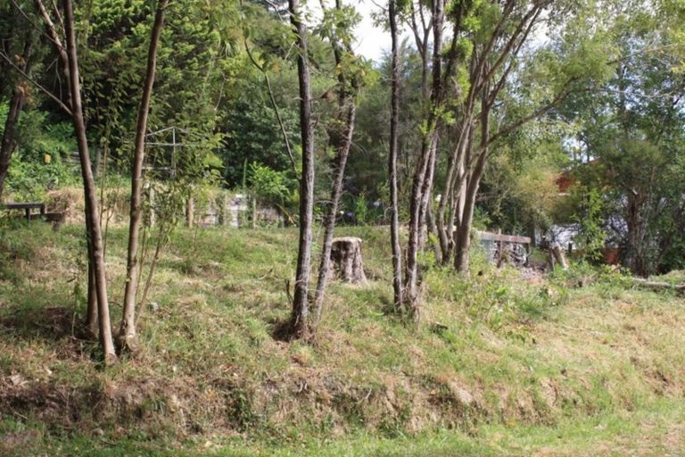 Photo of property in 24 Kaimanawa Street, Paraparaumu, 5032