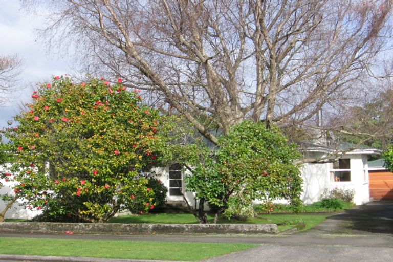 Photo of property in 8 Ake Ake Avenue, Hokowhitu, Palmerston North, 4410