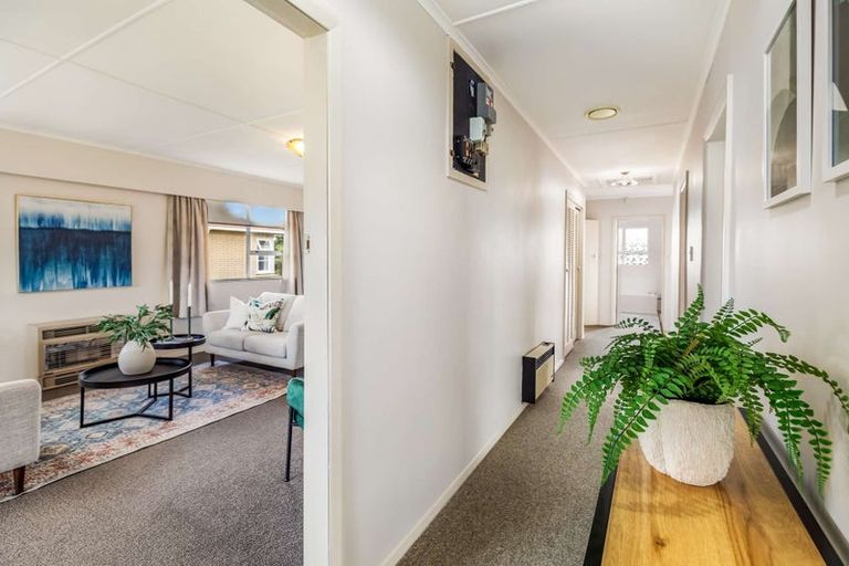 Photo of property in 27 Middlesex Street, Levin, 5510