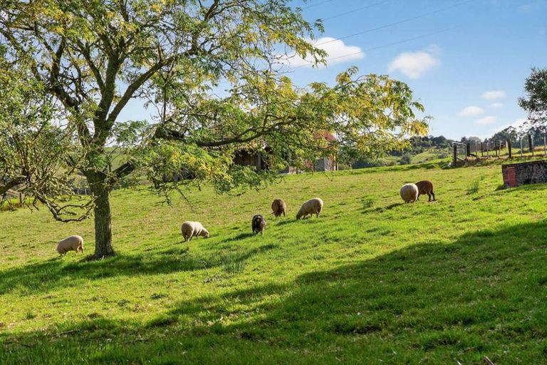 Photo of property in 311 Franklin Road, Paparoa, 0571