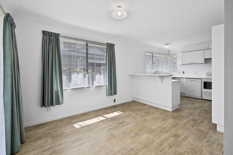 Photo of property in 100 Monrad Street, Highbury, Palmerston North, 4412