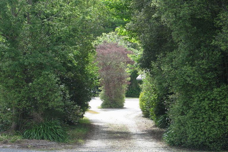 Photo of property in 12 Williamson Street, Cambridge, 3434