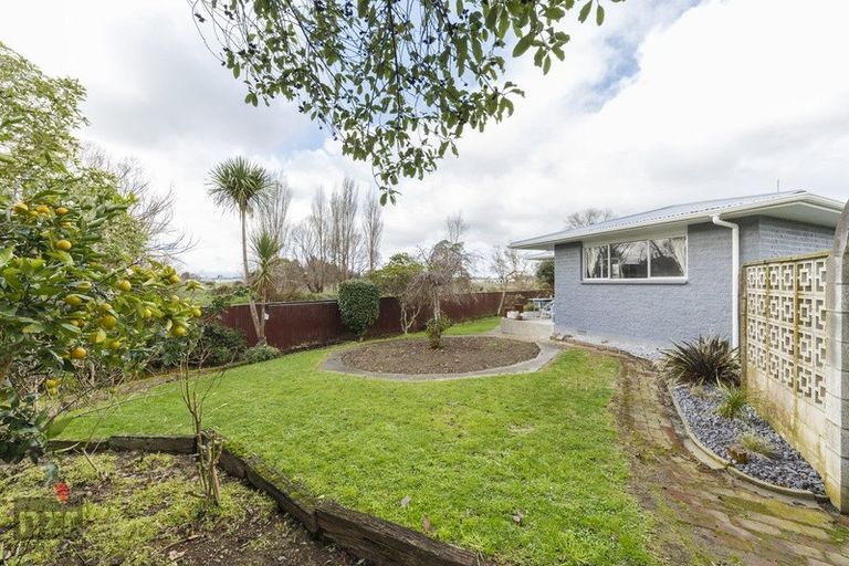 Photo of property in 16 Sandstrom Grove, Feilding, 4702