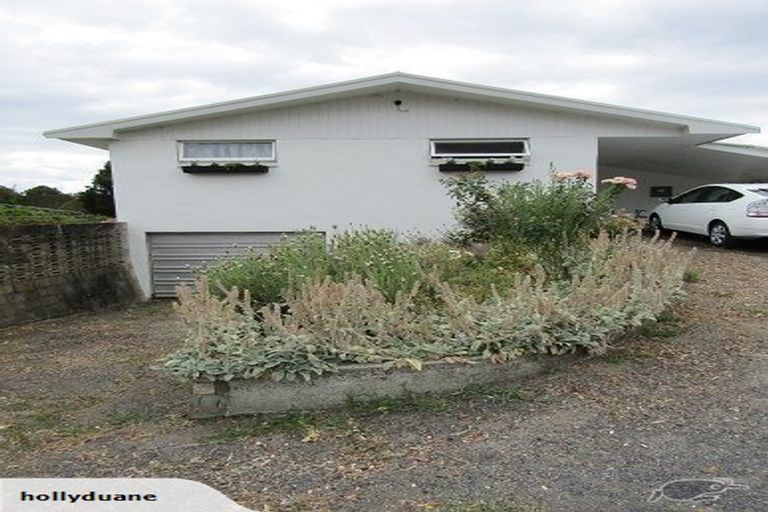 Photo of property in 107 Main Road, Tirau, 3410
