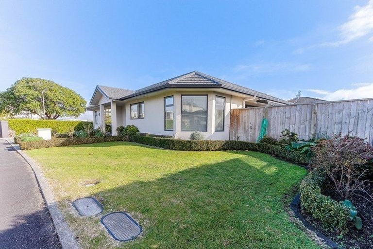 Photo of property in 36 Purnell Street, College Estate, Whanganui, 4500