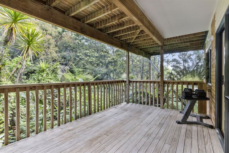 Photo of property in 45 Condor Place, Unsworth Heights, Auckland, 0632