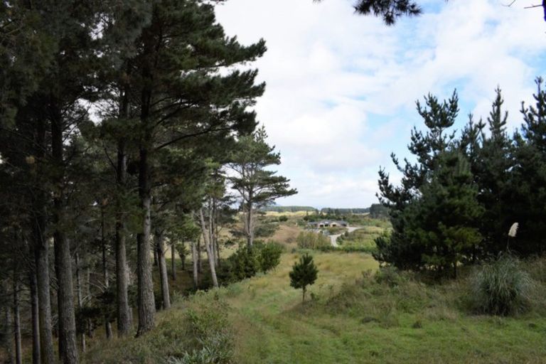 Photo of property in 101 Emma Drive, Manakau, 5573