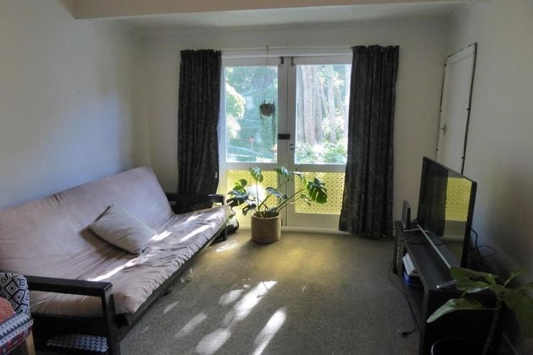 Photo of property in 51 Norway Street, Aro Valley, Wellington, 6012