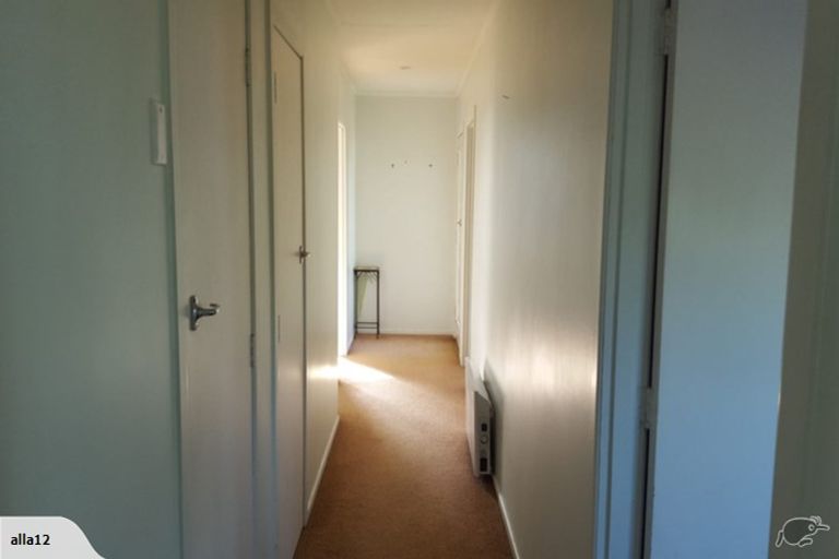 Photo of property in 16 Carter Street, Mount Maunganui, 3116